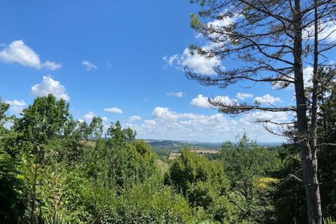 Villa a Puylaurens, Tarn, Puylaurens - € 450.000 | Ref: 340939549086 - foto 43