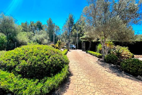 Landsbyhus i Valldemosa, Mallorca, Valldemosa - € 1.100.000 | Ref: 79701 - foto 16