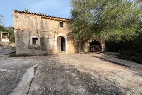 Finca i Llubi, Mallorca, Llubi - € 500.000 | Ref: 80821 - foto 1