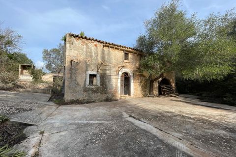 Finca i Llubi, Mallorca, Llubi - € 500.000 | Ref: 80821 - foto 2