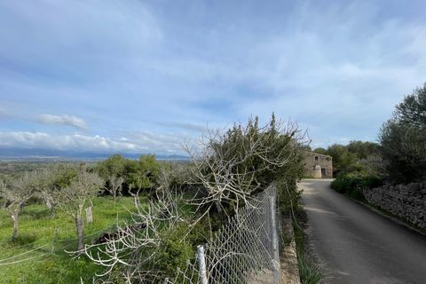 Finca i Llubi, Mallorca, Llubi - € 500.000 | Ref: 80821 - foto 13