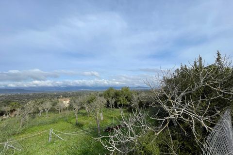 Finca i Llubi, Mallorca, Llubi - € 500.000 | Ref: 80821 - foto 14