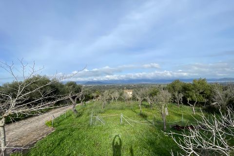 Finca i Llubi, Mallorca, Llubi - € 500.000 | Ref: 80821 - foto 15
