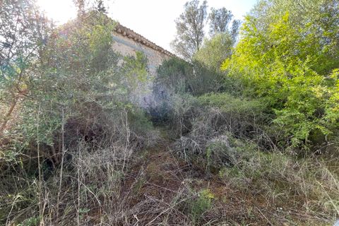 Finca i Llubi, Mallorca, Llubi - € 500.000 | Ref: 80821 - foto 16