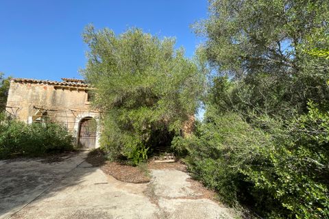 Finca i Llubi, Mallorca, Llubi - € 500.000 | Ref: 80821 - foto 17