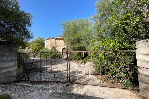 Finca i Llubi, Mallorca, Llubi - € 500.000 | Ref: 80821 - foto 18