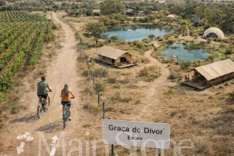 Helårsgrund i Evora, Evora, Evora - € 800.000 | Ref: TER_176 - foto 10