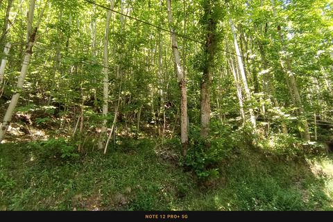 Terra a Caudebronde, Aude, Caudebronde - € 23.000 | Ref: 345515663 - foto 2