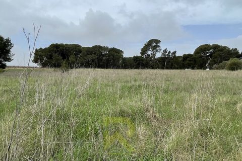 Helårsgrund i Servian, Herault, Servian - € 48.000 | Ref: 345515686 - foto 2