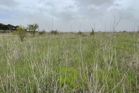 Helårsgrund i Servian, Herault, Servian - € 48.000 | Ref: 345515686 - foto 6