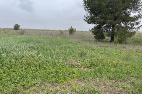 Helårsgrund i Servian, Herault, Servian - € 48.000 | Ref: 345515686 - foto 8
