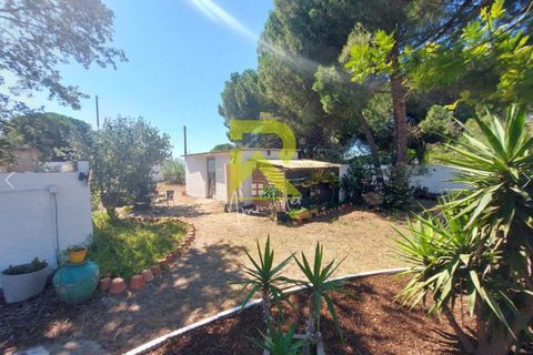 Villa i Marseillan, Herault, Marseillan - € 520.000 | Ref: 345516320 - foto 7