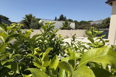 Villa a Grau d'Agde, Herault, Grau d'Agde - € 534.000 | Ref: 345515793 - foto 15