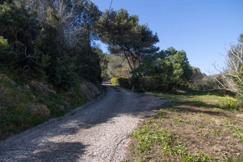 Villa i Budens, Faro, Budens - € 1.095.000 | Ref: 10300 - foto 41