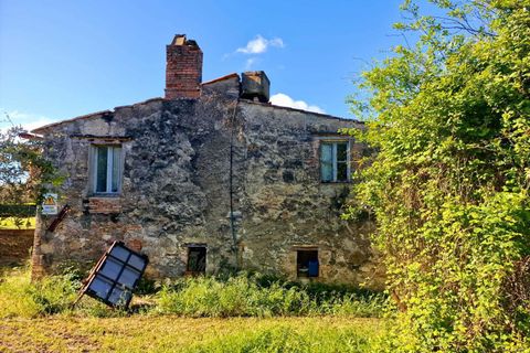 Villa i Amelia, Terni, Amelia - € 148.000 | Ref: Amelia023 - foto 5