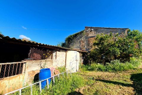 Villa i Amelia, Terni, Amelia - € 148.000 | Ref: Amelia023 - foto 15