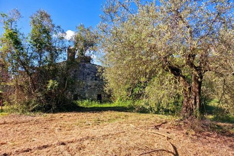 Villa i Amelia, Terni, Amelia - € 148.000 | Ref: Amelia023 - foto 19