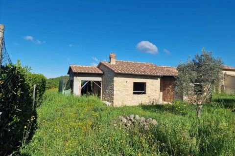 Villa i Amelia, Terni, Amelia - € 180.000 | Ref: Amelia0017 - foto 12