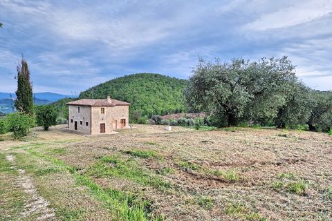 Villa i Todi, Perugia, Todi - € 398.000 | Ref: MONTECASTELLO01-1-1-1-1 - foto 5