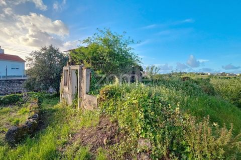 Villa i Alqueidao, Coimbra, Alqueidao - € 49.900 | Ref: ZMPT576450 - foto 5