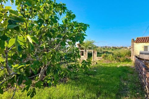 Villa i Alqueidao, Coimbra, Alqueidao - € 49.900 | Ref: ZMPT576450 - foto 7