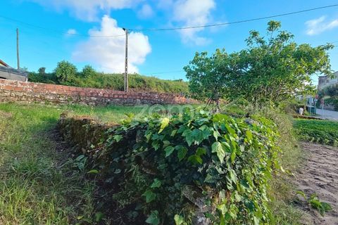 Villa i Alqueidao, Coimbra, Alqueidao - € 49.900 | Ref: ZMPT576450 - foto 8