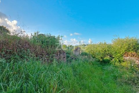 Villa i Alqueidao, Coimbra, Alqueidao - € 49.900 | Ref: ZMPT576450 - foto 9