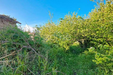 Villa i Alqueidao, Coimbra, Alqueidao - € 49.900 | Ref: ZMPT576450 - foto 10