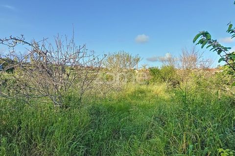 Villa i Alqueidao, Coimbra, Alqueidao - € 49.900 | Ref: ZMPT576450 - foto 11