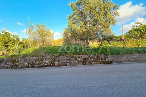 Villa i Alqueidao, Coimbra, Alqueidao - € 49.900 | Ref: ZMPT576450 - foto 13