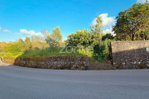 Villa i Alqueidao, Coimbra, Alqueidao - € 49.900 | Ref: ZMPT576450 - foto 14