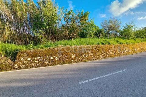 Villa i Alqueidao, Coimbra, Alqueidao - € 49.900 | Ref: ZMPT576450 - foto 15