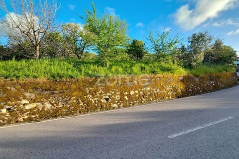 Villa i Alqueidao, Coimbra, Alqueidao - € 49.900 | Ref: ZMPT576450 - foto 16