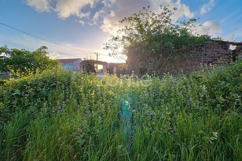Villa i Alqueidao, Coimbra, Alqueidao - € 49.900 | Ref: ZMPT576450 - foto 17