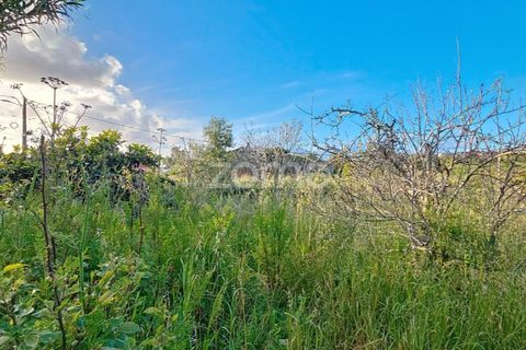Villa i Alqueidao, Coimbra, Alqueidao - € 49.900 | Ref: ZMPT576450 - foto 18