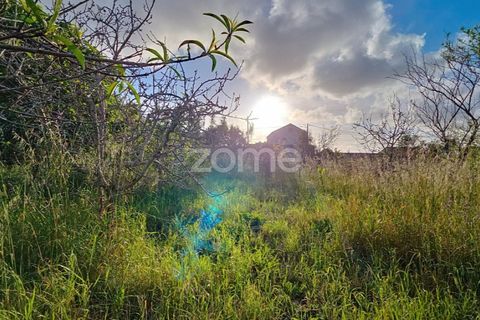 Villa i Alqueidao, Coimbra, Alqueidao - € 49.900 | Ref: ZMPT576450 - foto 19