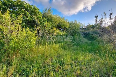 Villa i Alqueidao, Coimbra, Alqueidao - € 49.900 | Ref: ZMPT576450 - foto 21