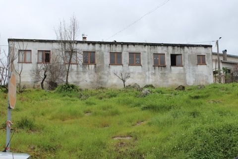 Erhvervsejendom i Mangualde, Viseu, Mangualde - € 56.000 | Ref: MM97174MC - foto 3