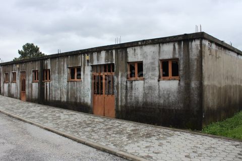 Erhvervsejendom i Mangualde, Viseu, Mangualde - € 56.000 | Ref: MM97174MC - foto 4