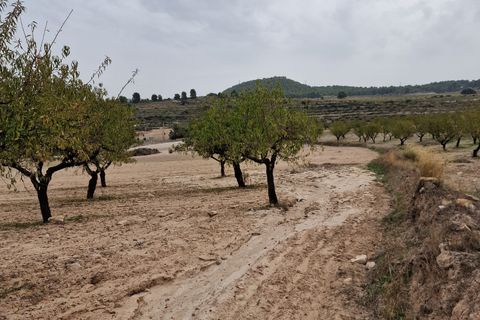 Terra a Moratalla, Murcia, Moratalla - € 1.999.000 | Ref: es5553596 - foto 2