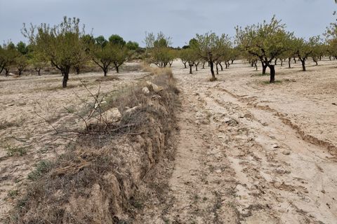 Terra a Moratalla, Murcia, Moratalla - € 1.999.000 | Ref: es5553596 - foto 3
