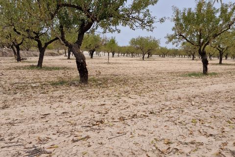 Terra a Moratalla, Murcia, Moratalla - € 1.999.000 | Ref: es5553596 - foto 4