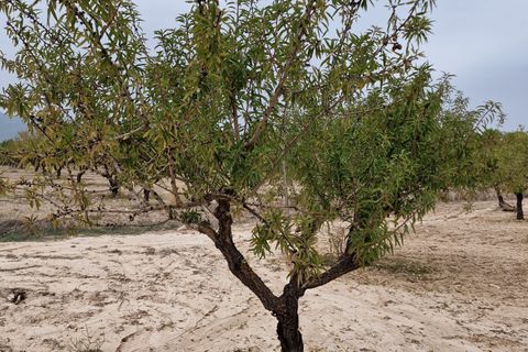 Terra a Moratalla, Murcia, Moratalla - € 1.999.000 | Ref: es5553596 - foto 9
