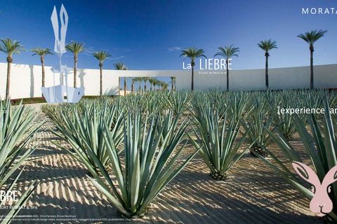 Terra a Moratalla, Murcia, Moratalla - € 1.999.000 | Ref: es5553596 - foto 14