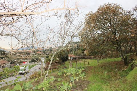 Helårsgrund i Barcelos, Braga, Barcelos - € 155.000 | Ref: 254250122 - foto 2