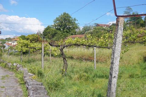 Helårsgrund i Barcelos, Braga, Barcelos - € 155.000 | Ref: 254250122 - foto 3