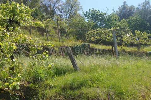 Helårsgrund i Barcelos, Braga, Barcelos - € 155.000 | Ref: 254250122 - foto 4
