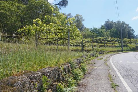 Helårsgrund i Barcelos, Braga, Barcelos - € 155.000 | Ref: 254250122 - foto 5