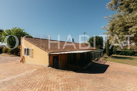 Villa - Betera, Valencia, Betera - € 1 500 000 | Réf : TB052/6904 - photo 39