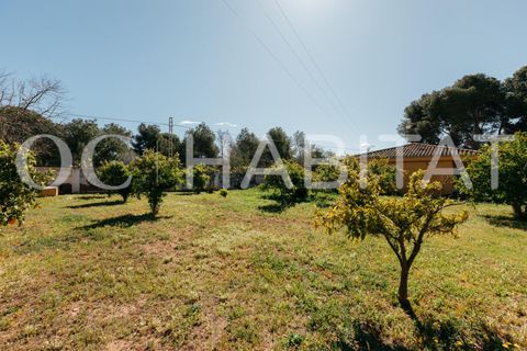 Villa - Betera, Valencia, Betera - € 1 500 000 | Réf : TB052/6904 - photo 42